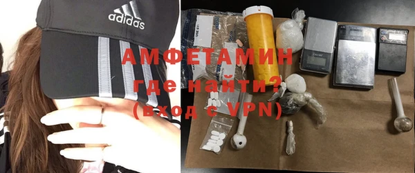 ГАЛЛЮЦИНОГЕННЫЕ ГРИБЫ Бородино