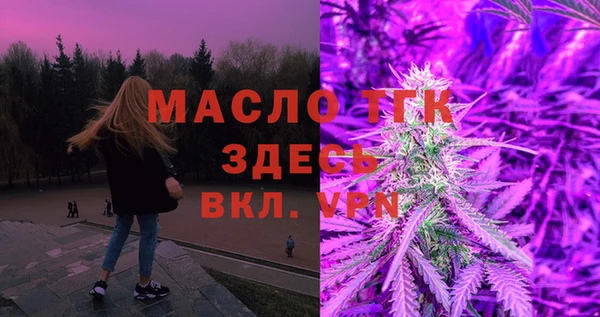 дживик Бронницы