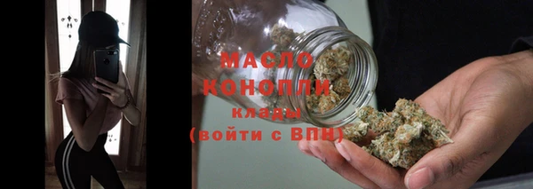 дживик Бронницы