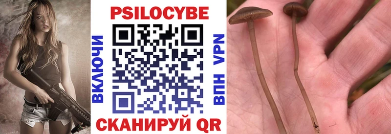 Псилоцибиновые грибы мухоморы  Абакан 